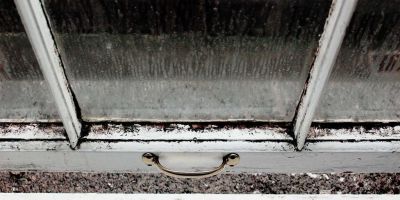 Fenster&shy;reinigung